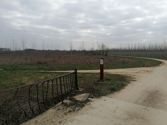 Parachutage SENS SUR SEILLE