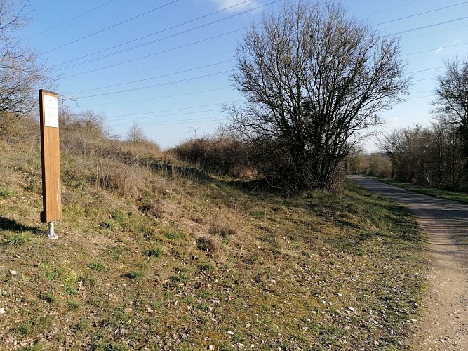 Parachutage CURTIL SOUS BURNAND1