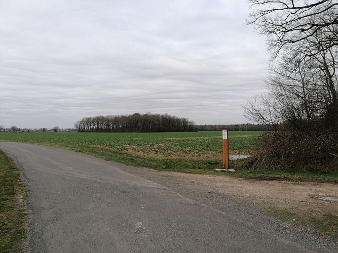 Parachutage SAINT CYR