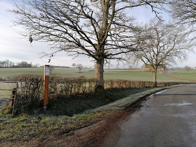 Parachutage DOMPIERRE SOUS SANVIGNES1