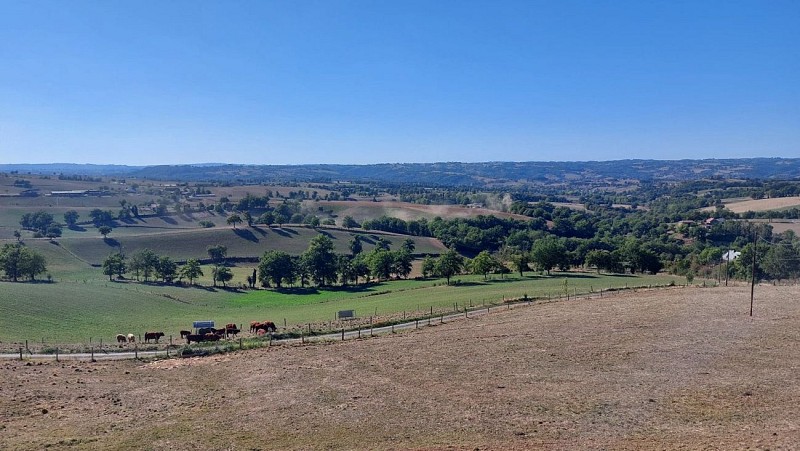 Saint-Constant-Fournoulès