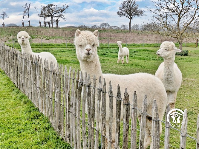 DOMAINE DES MAZURES, 17 À 19 PERSONNES