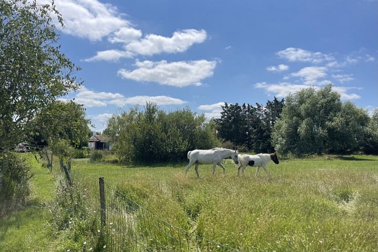 Gîtes Les Poirasses