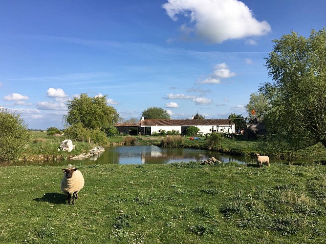 DOMAINE DES POIRASSES - GÎTE BLANC