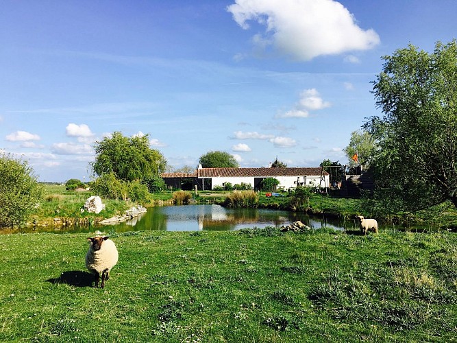DOMAINE DES POIRASSES - GÎTE RUSTIQUE