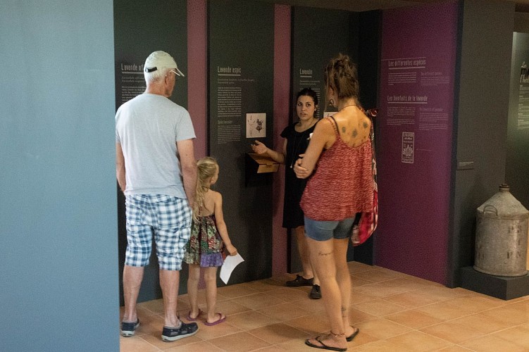 Musée Artemisia Museum