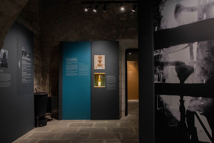 Musée Artemisia Museum