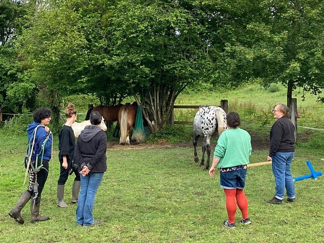 Equi'Potentiels - Grangues - Atelier avec les chevaux