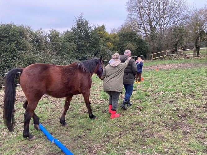 Equi'Potentiels - Grangues - Constellation familiale