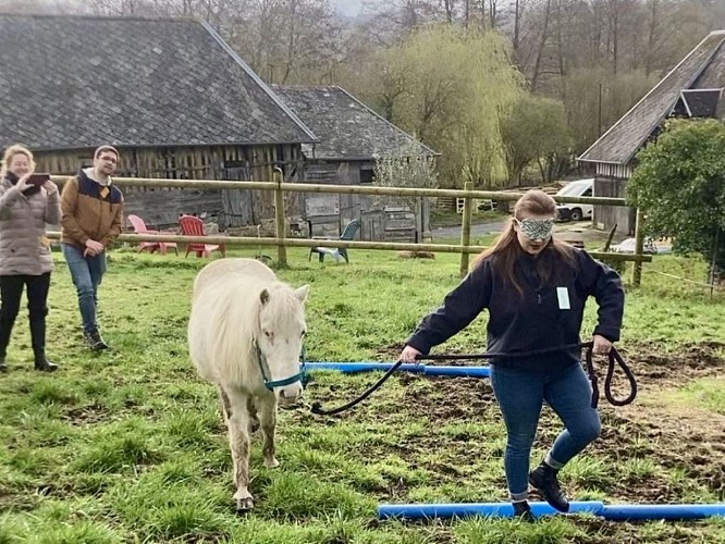 Equi'Potentiels -  séminaire cohésion d'équipe