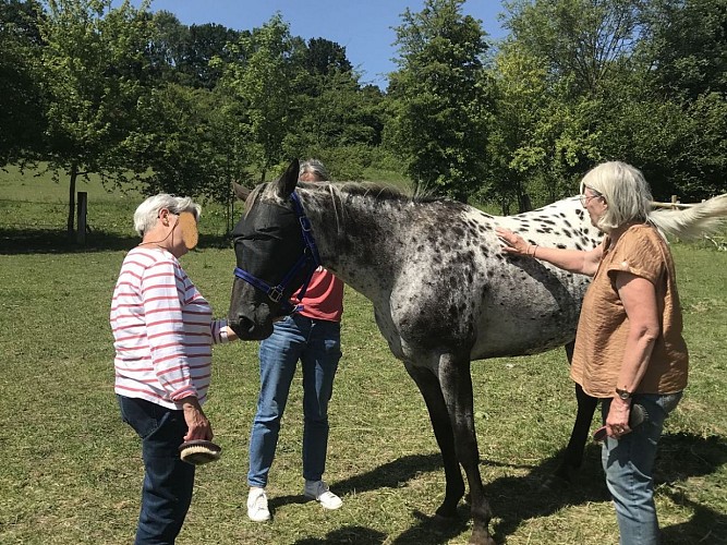 Equi'Potentiels - Grangues - Atelier Bien-être nature et chevaux