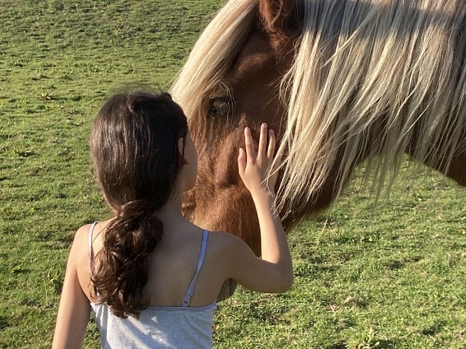 Equi'Potentiels - Grangues - Bien-être avec les chevaux