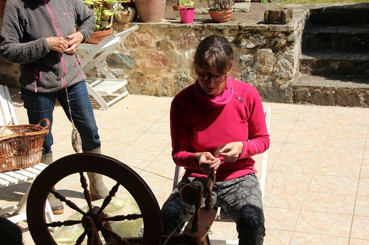 Lafayette Lama and Alpaca farm