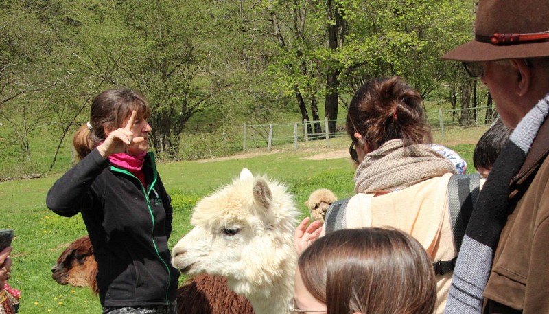 Ferme Les Lamas et Alpagas de Lafayette