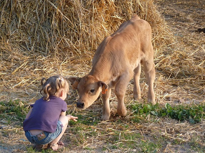 La ferme des Bourettes