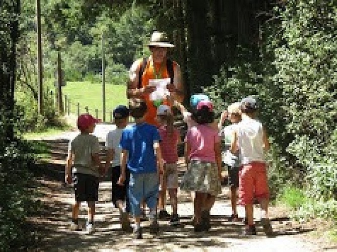 Parcours d'orientation autour du Plateau
