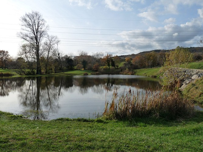 Etang de pêche