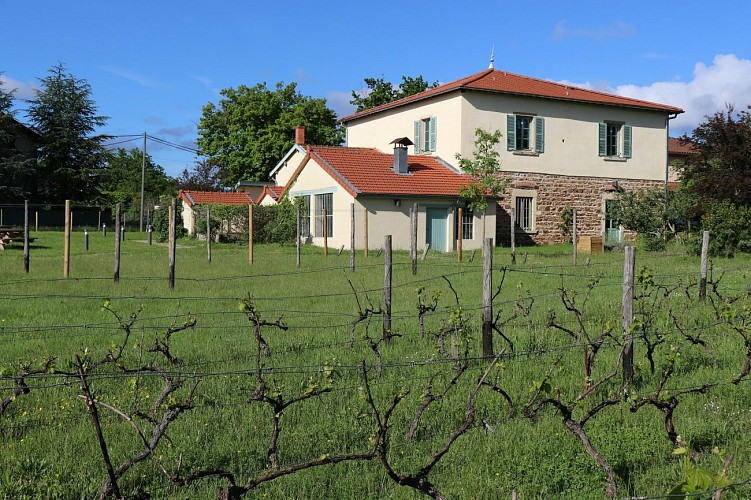 The launderer's house