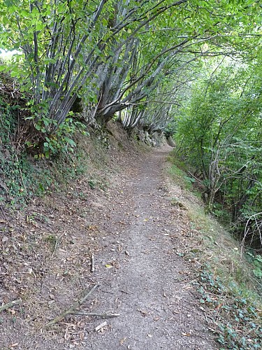 Sentier découverte de l'aqueduc romain de l'Yzeron