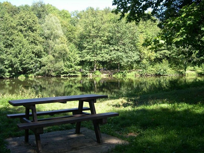 Boulard park, century-old trees