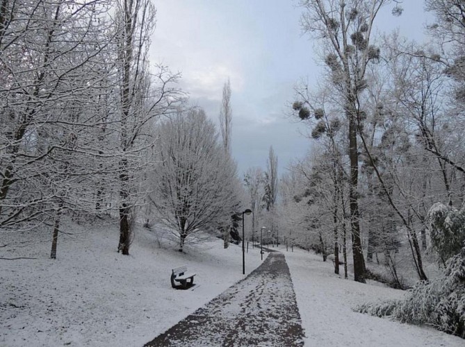Boulard park, century-old trees