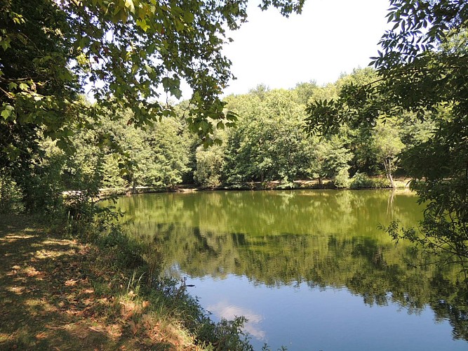 Aire de pique-nique du Boulard