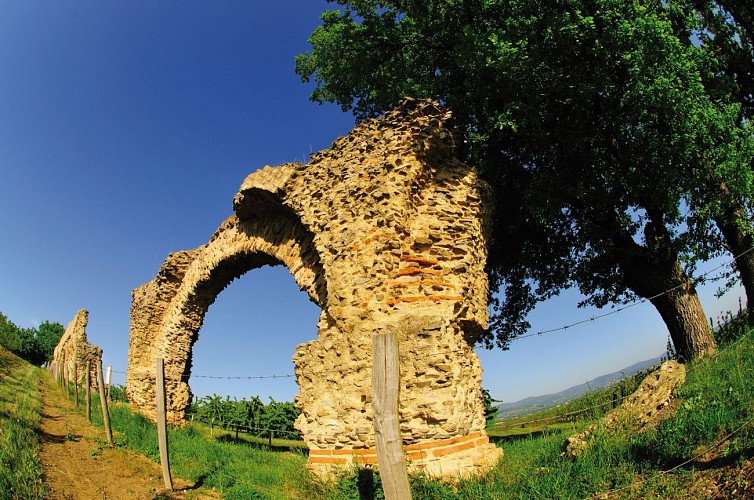 The Gier Roman Aqueduct in Soucieu en Jarrest