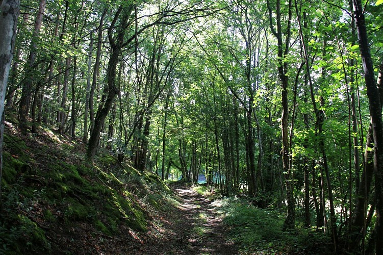 Village de Saint Denis-sur-Coise