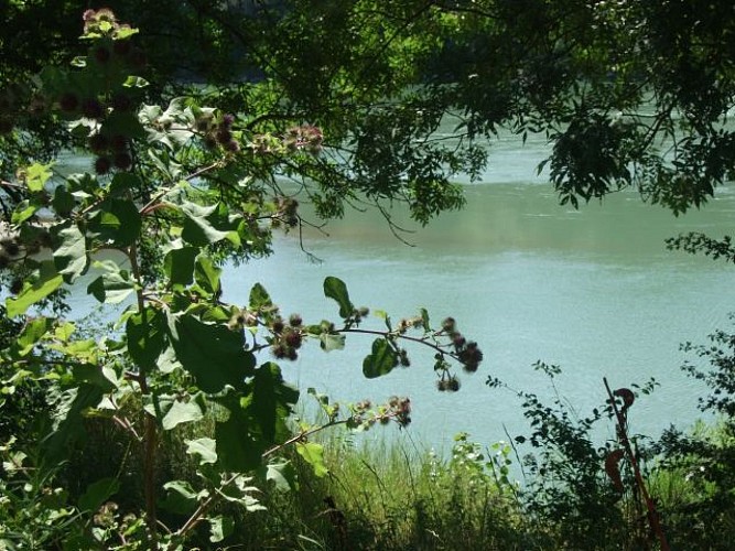 Islands and inlets of the Rhone