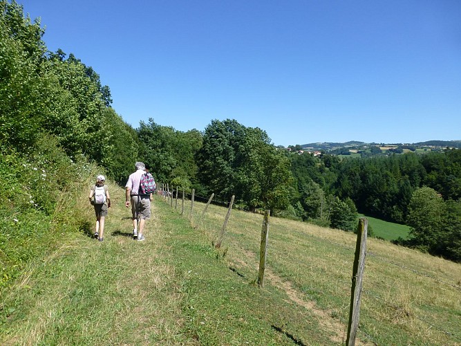 Chemins de Saint-Jacques de Compostelle Lyon - Le Puy-en-Velay