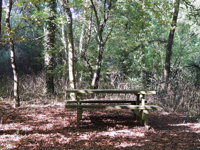 Aire de pique-nique du Pont de Chêne