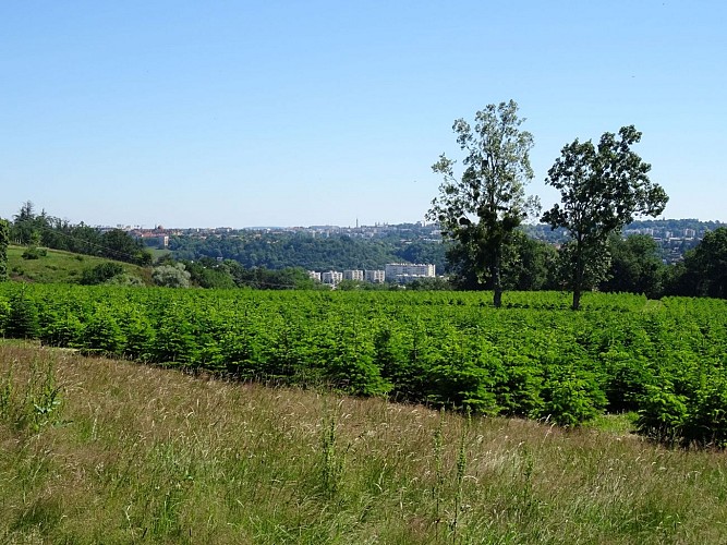 Aire de pique-nique du Plat de l'Air
