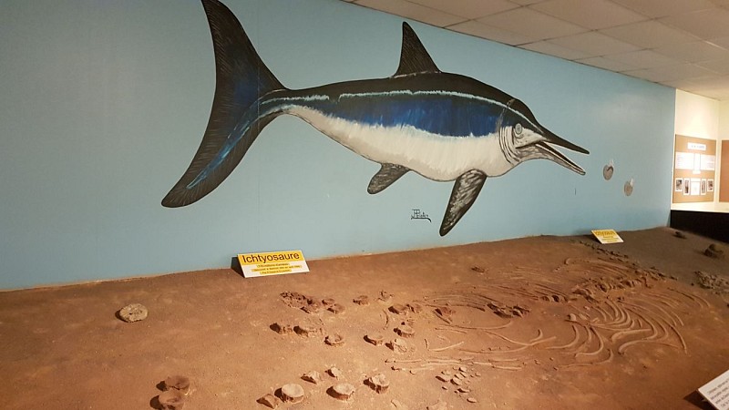 Musée de la mine et de la minéralogie