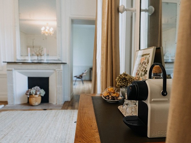 LaMaisonPelloquin-boudoir-cheminee