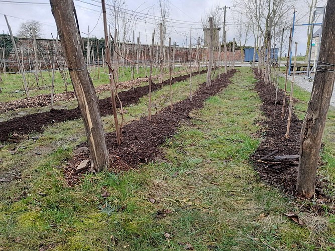 Clos du Postillon 2