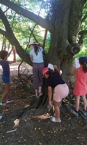 Explorateurs de Nature