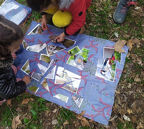 Explorateurs de Nature