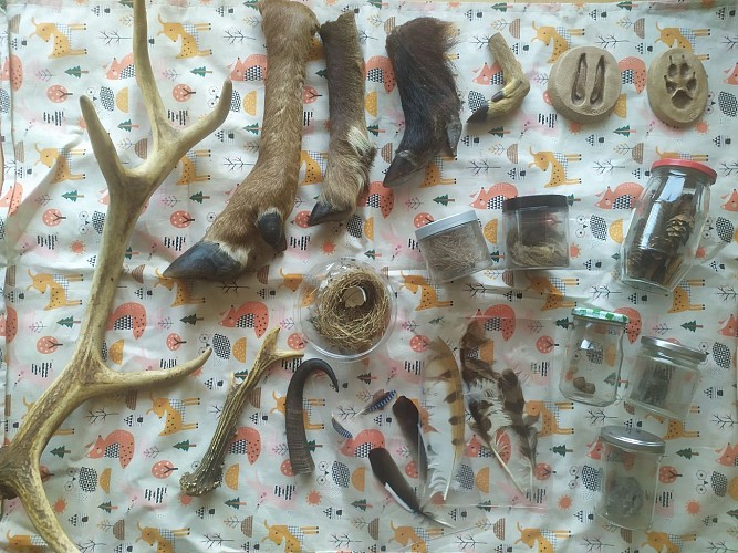 Explorateurs de Nature