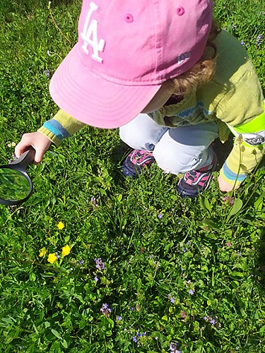 Explorateurs de Nature