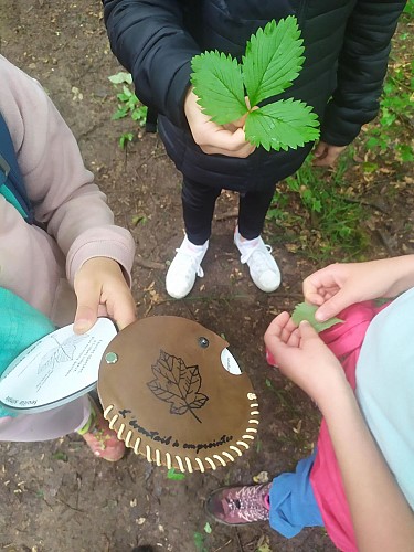 Explorateurs de Nature