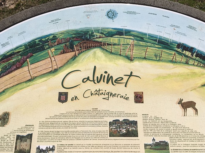 Calvinet