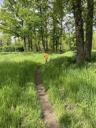 491217957_1044506527728138_6483750015718226395_n