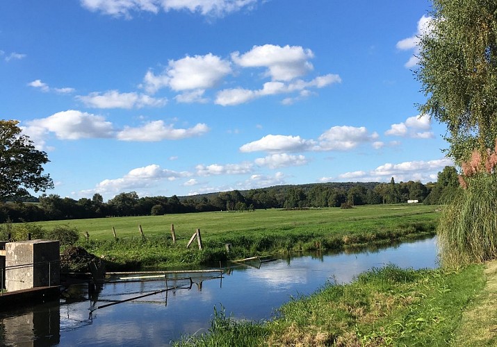 PISCICULTURE-DE-PERRUEL-PAR-OTLA-1600px--ML-VITTORI-2