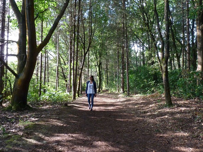 Mazerolles lac Ayguelongue juillet 2025