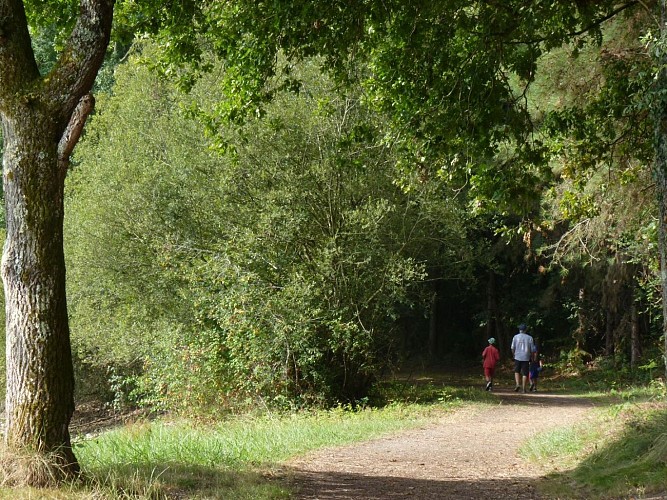 Mazerolles lac Ayguelongue juillet 2025