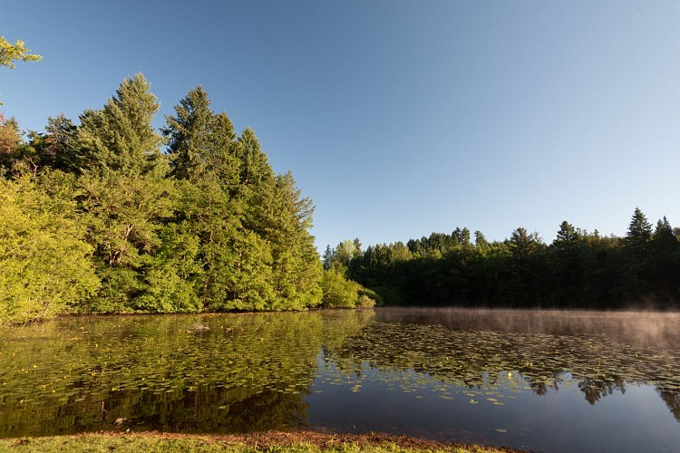 Etang de Pézanin