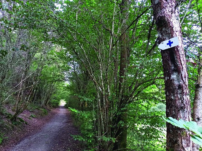 Stone bridge on the Belle Meuse