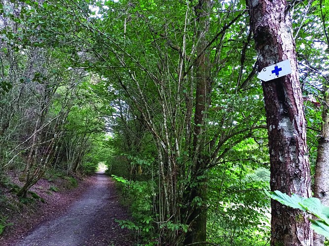 Pont de Pierre sur la Belle Meuse