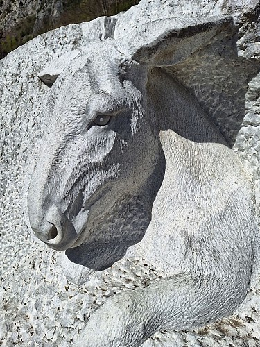 Design sans titre - 1