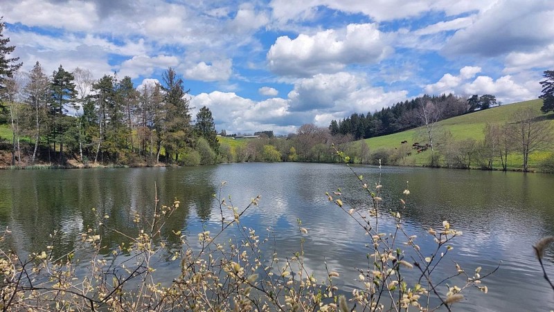 Moulinier trout fishing pond